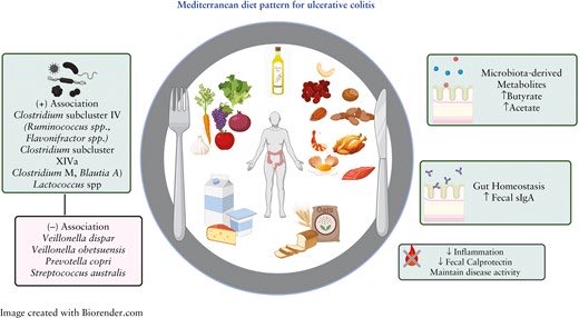 The Mediterranean #diet ⬇️ intestinal  inflammation and favorably modulates the gut microbiota, including ⬆️ short-chain fatty acids in patients with ulcerative colitis. 

#MedTwitter #GITwitter #IBD #nutrition 

academic.oup.com/ecco-jcc/advan…