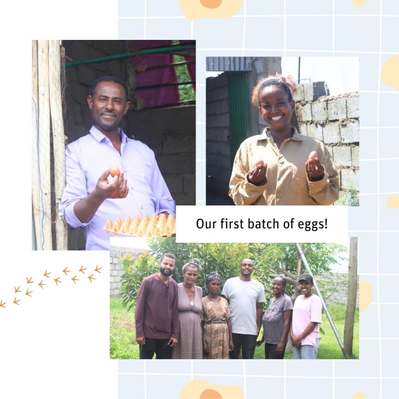 SightandLife's tweet photo. 📢 Exciting news! Our #EggHub in Ethiopia is now operational! 🐣💪
 
This project improves egg availability, fights undernutrition with eggs' vitamins, and boosts farmers' incomes in rural #Ethiopia. Together, we build stronger, healthier communities 🥚
#nutrition #sustainability