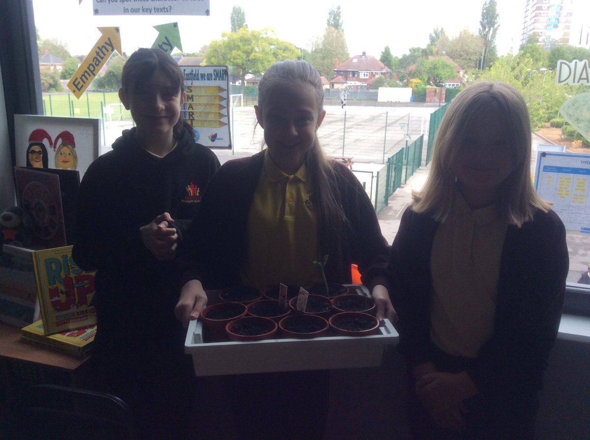 EastfieldPSHull's tweet image. #6RT gardeners caring for our pumpkins and butternut squash #epsgardening