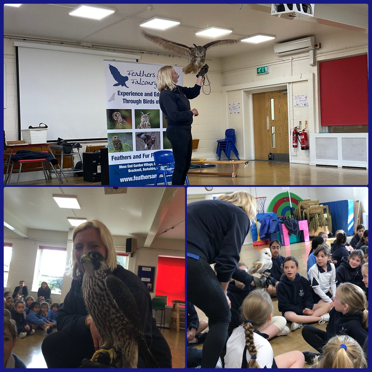 Highfield Year 3 tweet media