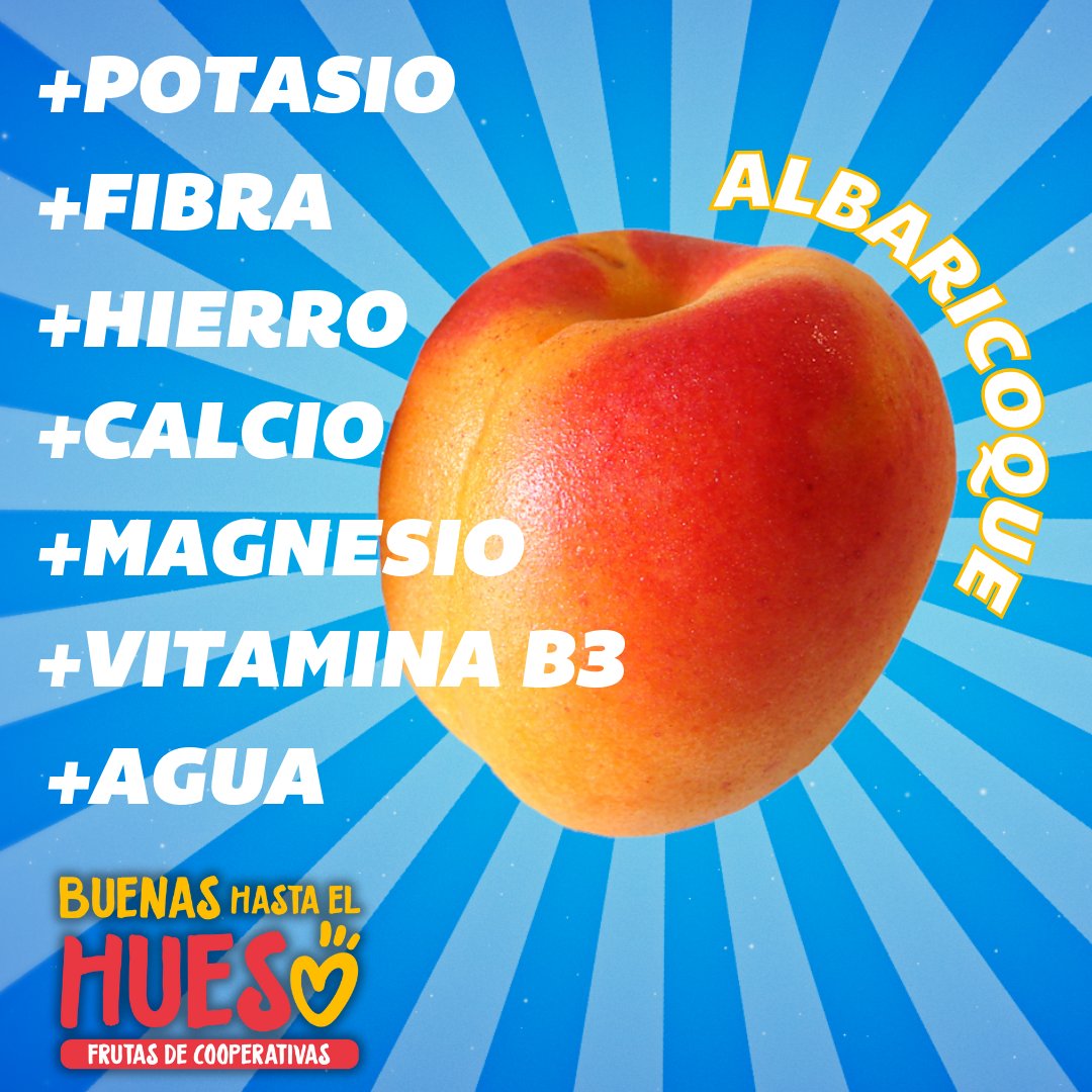 ¡El albaricoque, tu snack perfecto! Esta fruta de hueso de temporada es un auténtico regalo para tu salud ❤️ ¡Mira bien, que la lista es larga! 👇

✅ Fibra
✅ Hierro
✅ Potasio
✅ Calcio
✅ Magnesio
✅ Vitamina B3
✅ Agua

#buenashastaelhueso #frutadehueso #salud #albaricoque