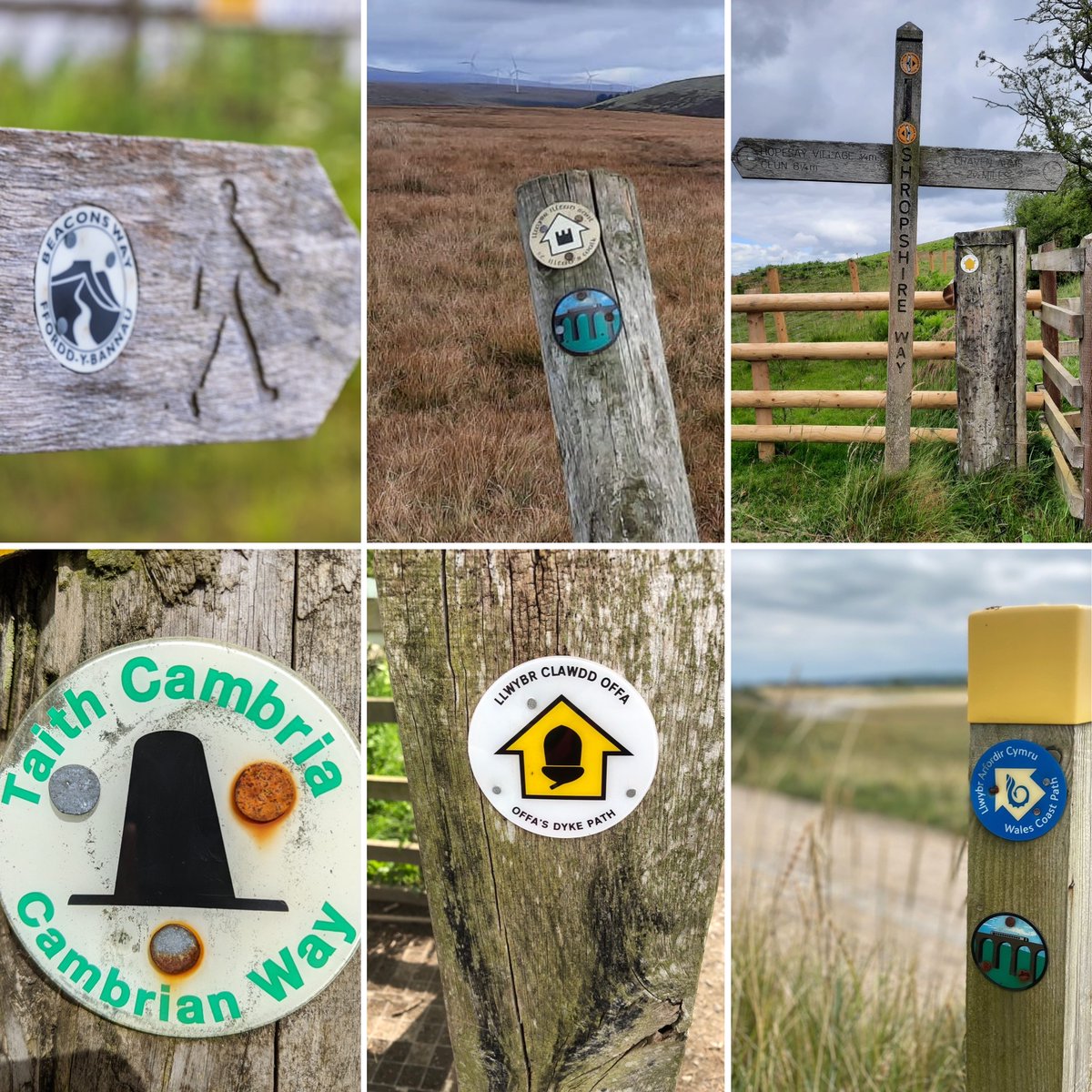 Recognise these? ↗️🪧

🥾The #HeartWalesTrail forms an important link between several existing long distance #WalkingTrails. Here's just some of the roundels and signs you'll see whilst walking the #Trail. Do you have anymore to add to the collection? #NationalWalkingMonth