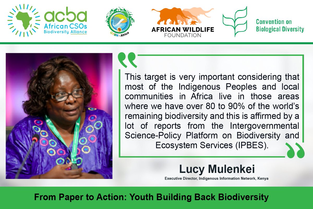 @mulenkei the Executive Director of @IndigenousInfo1 take on Target 5 #SustainableUse 
#YouthInAction