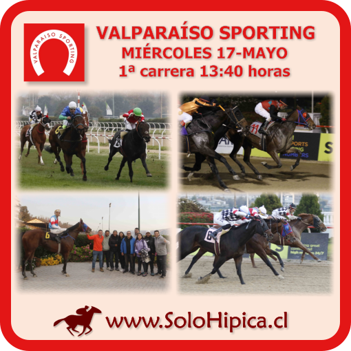 solohipica's tweet photo. VALPARAÍSO SPORTING (Miércoles 17-Mayo) Disponibles Programa Carreras, Aprontes FS, Retiros FS, Resultados y Señal en Vivo https://t.co/KY6U2IUCVo #solohipica #ValparaísoSporting #ProgramaCarreras #AprontesFS #RetirosFS #ResultadosCarreras #SeñalEnVivo #CarrerasDeCaballos #Hípica https://t.co/AtdMDnuWMR