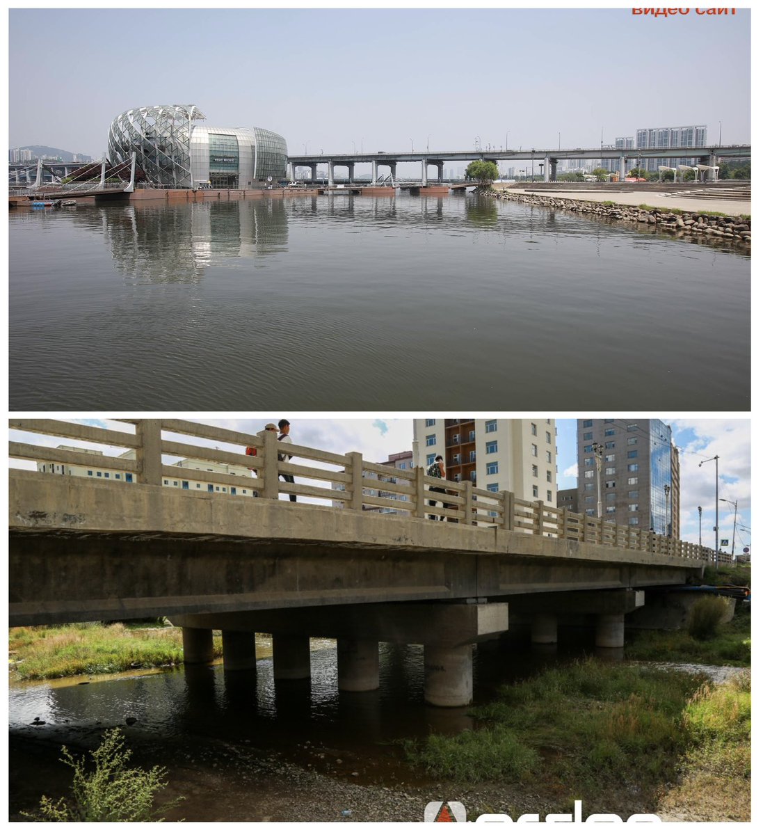 Манайхан юмыг төгс *аадаг болчуул яг алах гээд байгаа уг нь