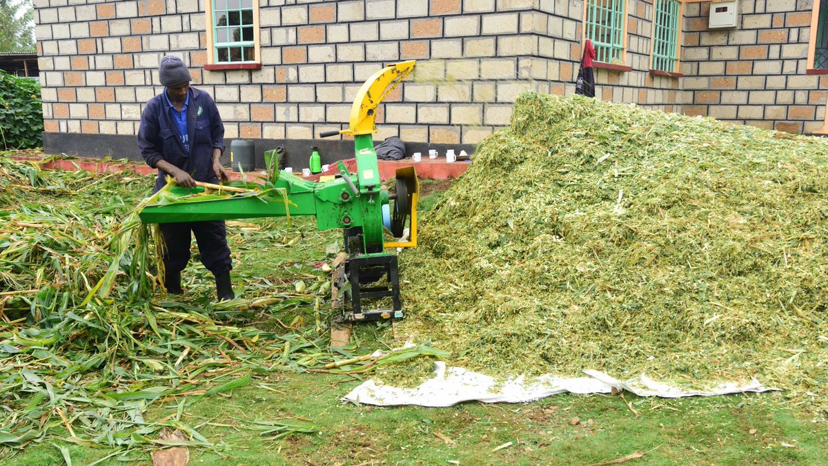 NEADAP_'s tweet photo. Check out our latest NEADAP Newsletter! 🐄🥛
Dive into dairy value addition, silage solutions for Ethiopian farmers, transformative manure management in Uganda and much more. #NEADAP #DairyCommunity
Read more here: https://t.co/Ns8IeXdu1d https://t.co/r4OPVIxEEi