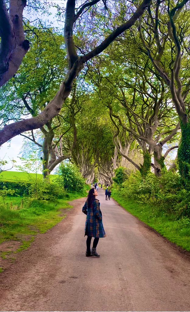 CaroLeyte's tweet photo. The Dark Hedges 🌳 https://t.co/txkNQ4n6XA