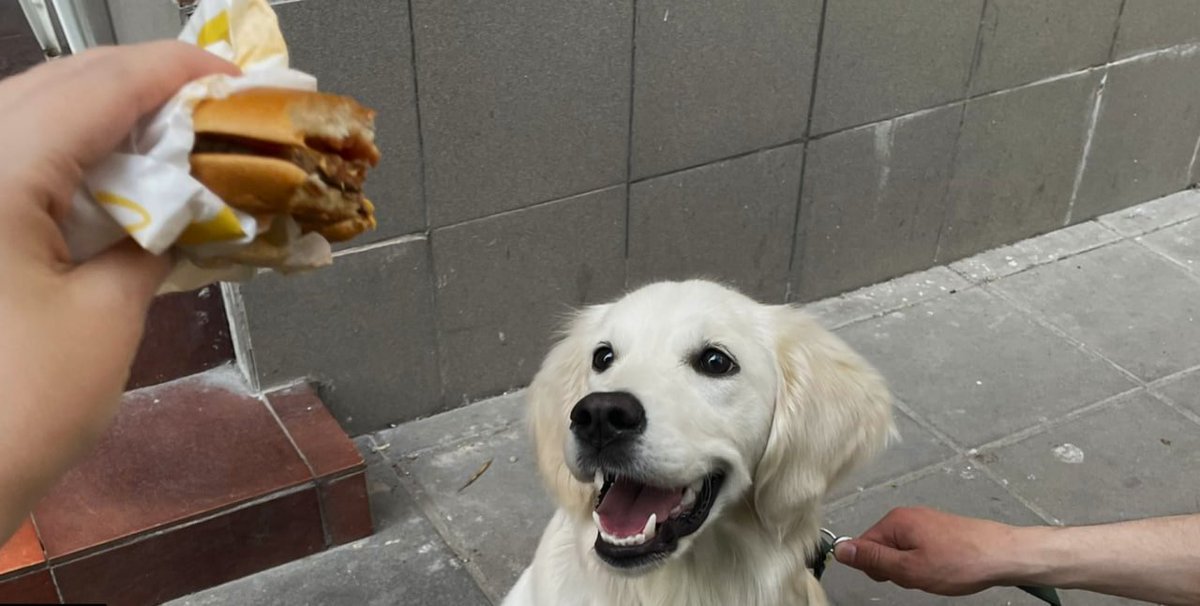 Maxim Ostrovsky tweet media