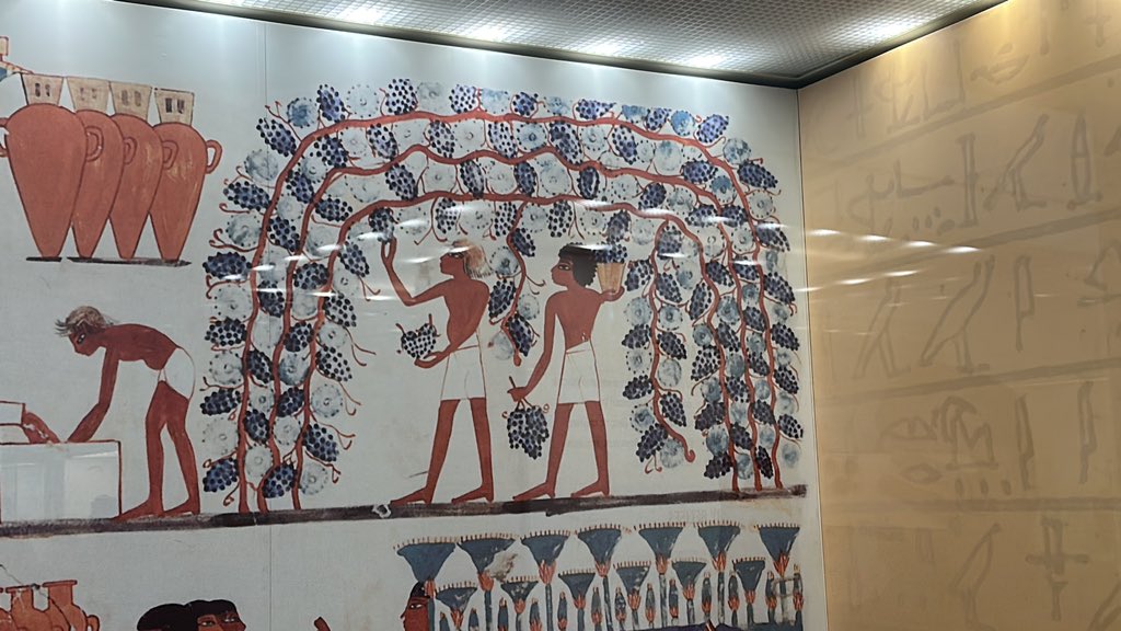 Jamyies's tweet photo. Ancient Egyptian’s had a smarter way to grow and pick grape vines? https://t.co/kE9E4f8lcP