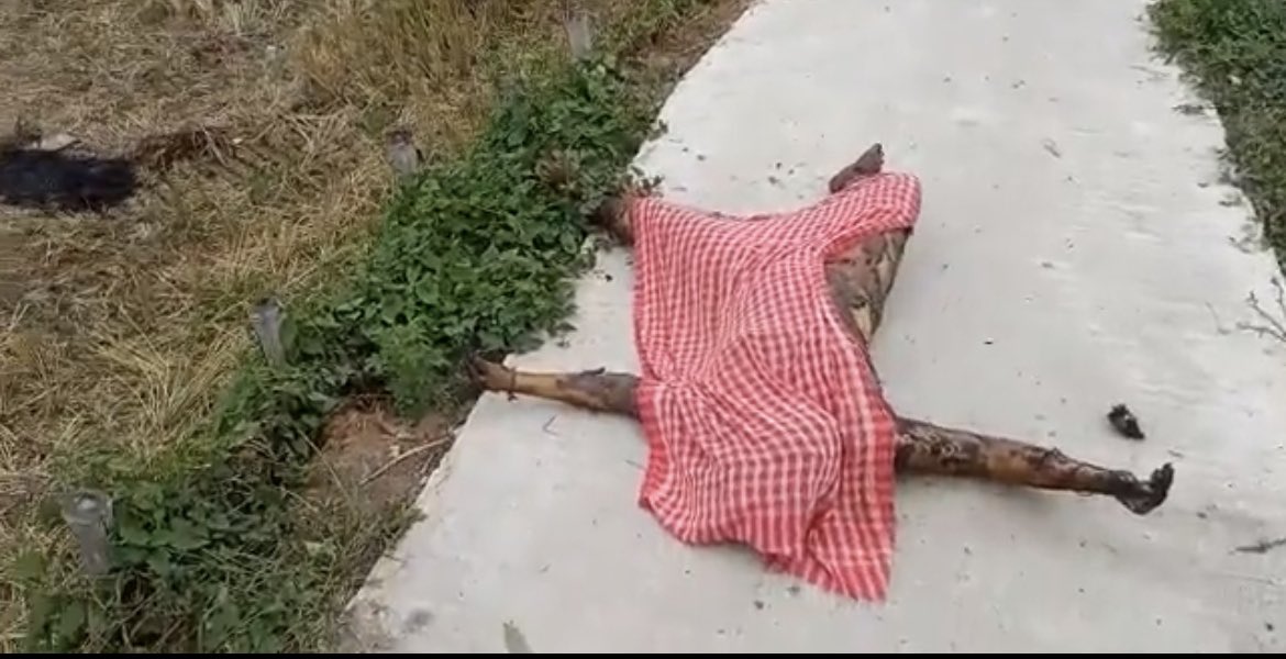 এগরা বিষ্ফোরনে হত কত? স্থানীয় মতে ২০-২২। বিষ্ফোরনের তীব্রতা কতটা ছিল তা ঘটনাস্থল থেকে এতদূরে মৃতদেহ পরে থাকা দেখেই বোঝা যাচ্ছে।

আজ বাংলায় চোর বাটপারদের রাজত্ব আর বোমা বন্দুকই শিল্পে পরিণত হয়েছে॥