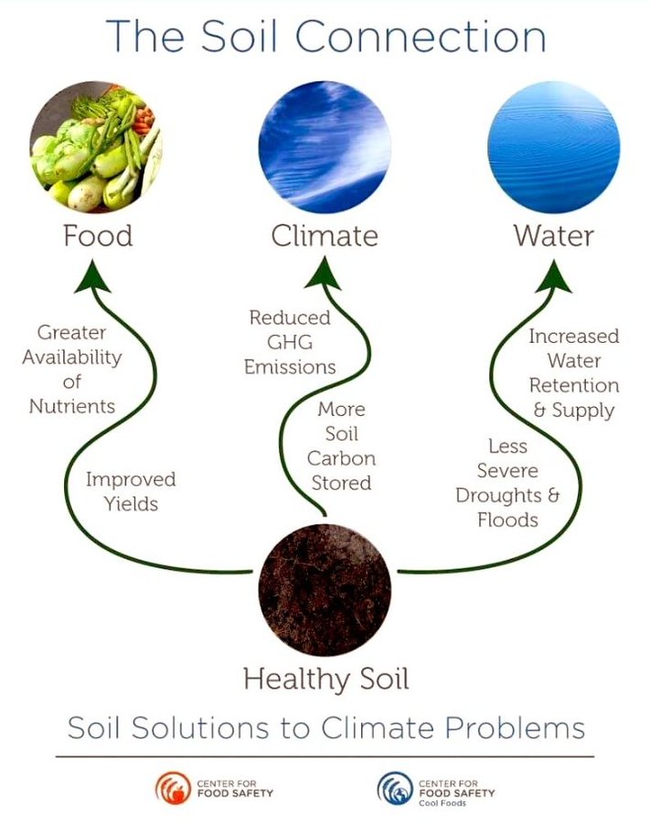 AlsoliCinzia's tweet photo. We need a policy that re-educates #genderhumans to feed themselves sustainably for the #Planet, whose #soil is on the verge of extinction in a few lustrums. 
We are all in danger! 
The key to saving the environment is #healthysoil! Let's for #SaveSoil!
https://t.co/C6ChuRoOpQ https://t.co/ztOvE4qJO6