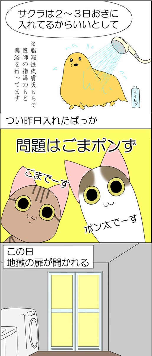 お風呂が大嫌いなぬこ② 