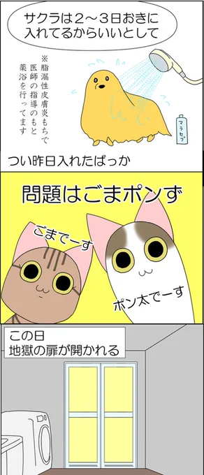 お風呂が大嫌いなぬこ② 
