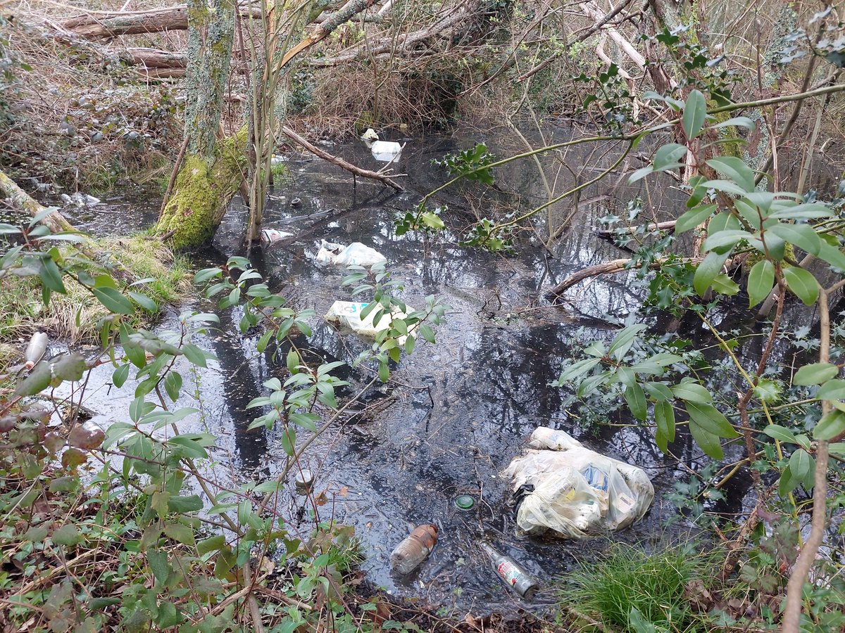 🛑✋ Bouteilles en plastique et verre, canettes, sacs poubelles, tôles, encombrants… lors des travaux de restauration de la végétation des bords de cours d’eau, 15 m³ de déchets ont été ramassés sur le secteur de la Vallée des Soupirs à Savenay👉bit.ly/3VQu1E0