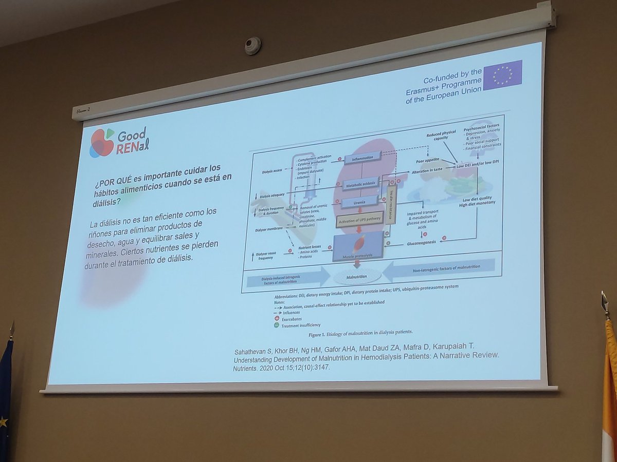 goodrenal's tweet photo. Nutritional Recommendations presented by @AliciaTestal from @HospitalManises at the Multiplier Event at @CienciaUCHCEU Patients, non-formal carers, health professionals among others attending the ME @EUErasmusPlus https://t.co/Ytqz2VlOmh