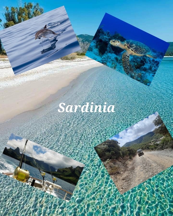 Dm for informations  🏝🚙📷⛵🤿🎣🗿

#traveldesigner #Sardinia #paradisebeach #Sardegna #sudsardegna #scuba #fishing #adventure #adventuretravel #travelphotography #wildlife #beautifuldestinations #travelconsultan