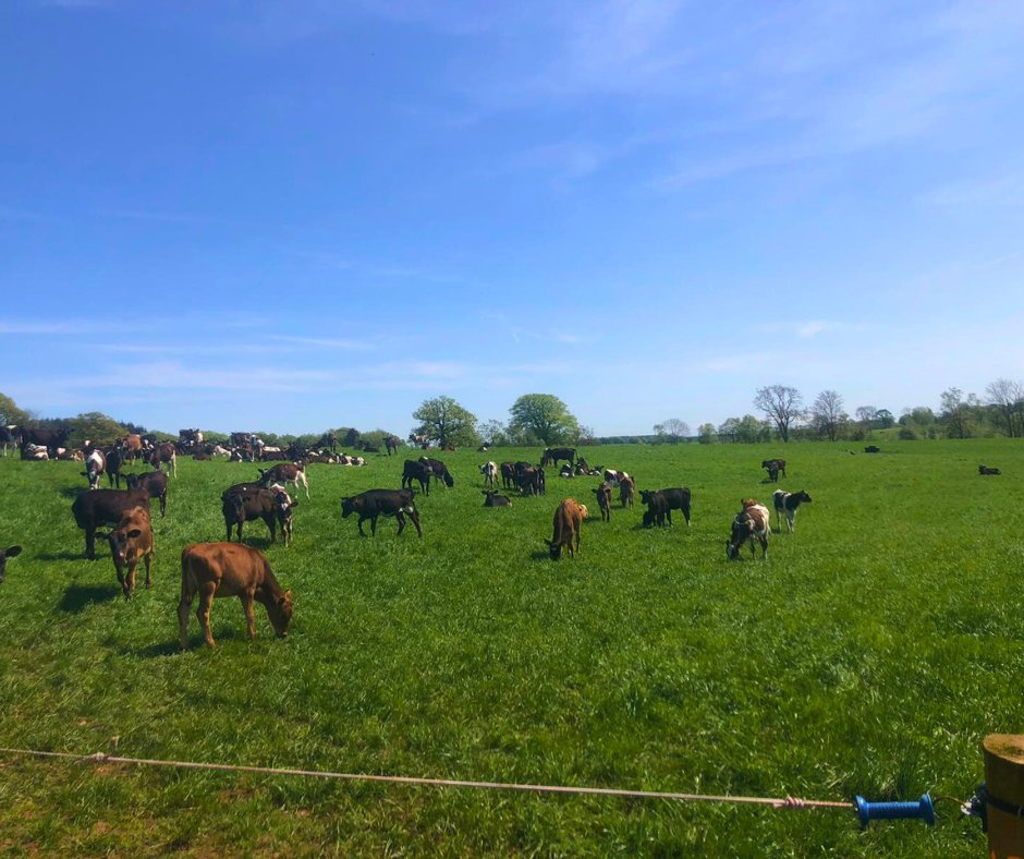 FarmingPartners tweet media