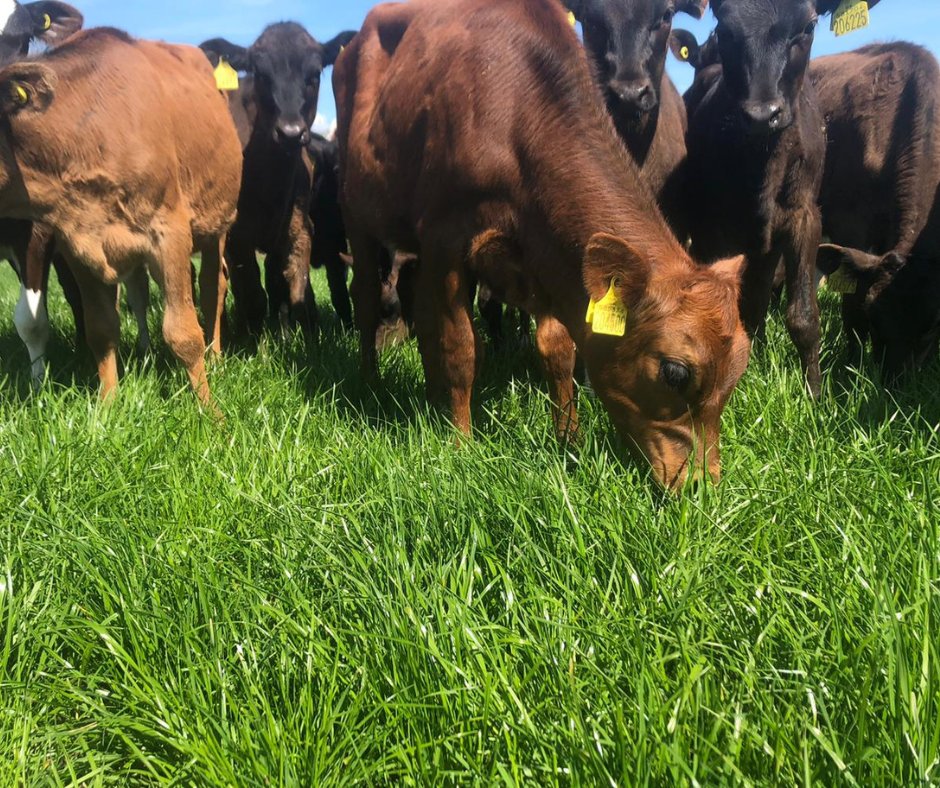 FarmingPartners tweet media