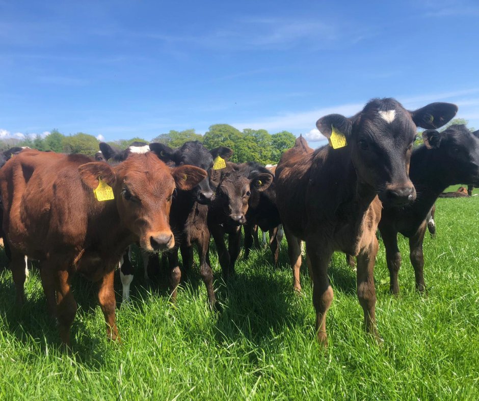 FarmingPartners tweet media