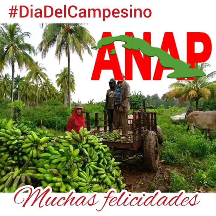 Felicitamos a l@s campesin@s cuban@s en su día, fieles defensores de la revolución, por su decisivo papel en la producción de alimentos que contribuye al bienestar del pueblo y al desarrollo socioeconómico de #Cuba. #DiaDelCampesino