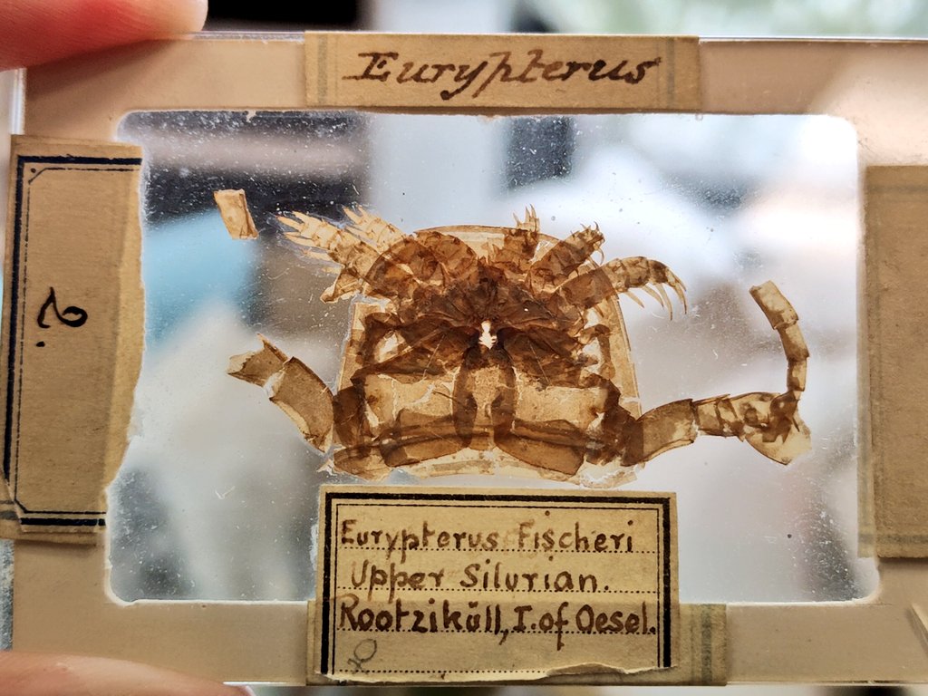 Richie Howard tweet media