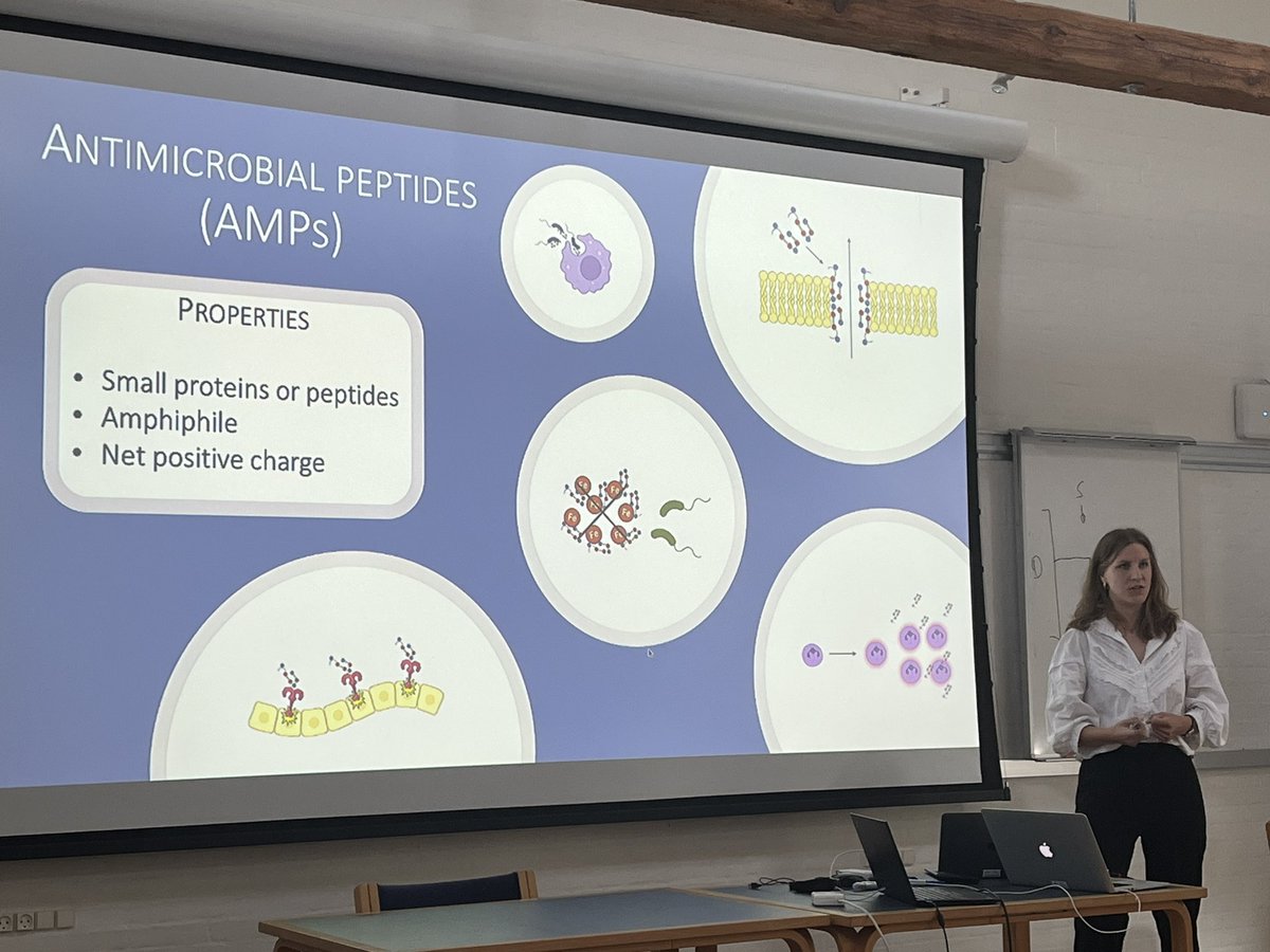 Now Laura Vang Sparsø on antibacterial peptide Cathelicidin and bacterial survival in urine