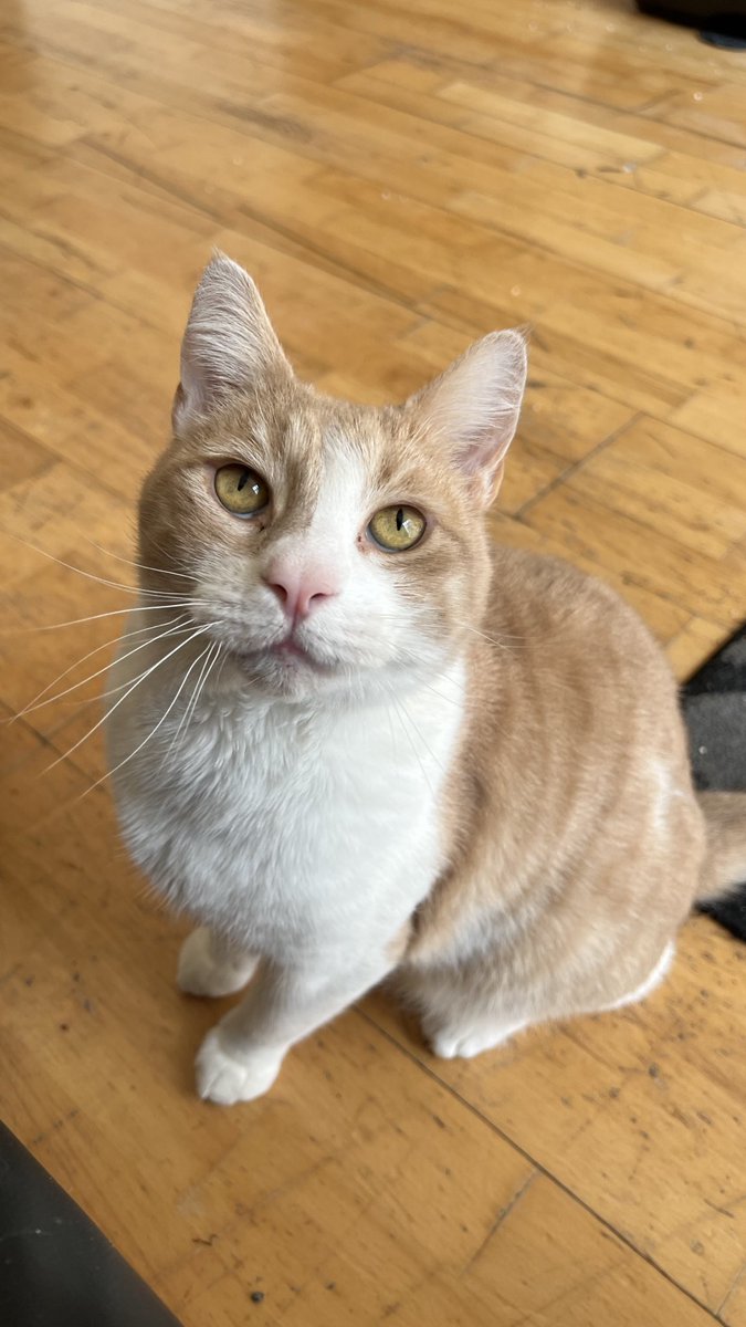 Percy👀 tweet media