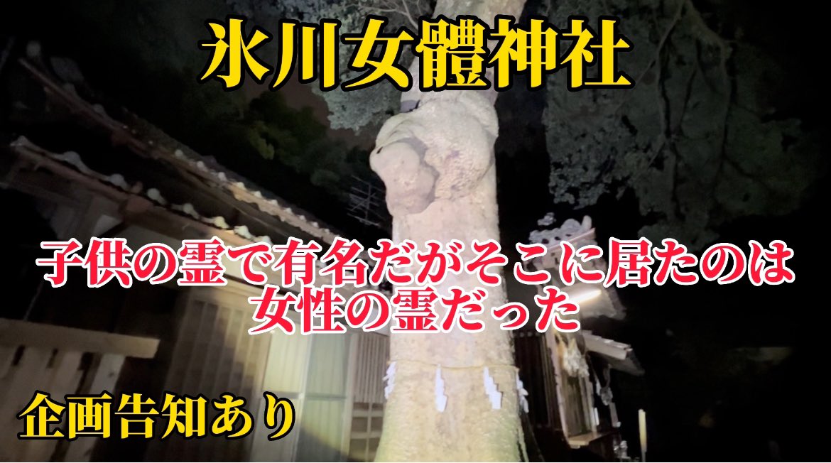 SHOWCH_YouTube's tweet photo. どうもこんばんは✨
明日木曜日夜20時に公開します✨

きっと女性の霊がここに居る…👻
企画の告知もあります👍
是非ご視聴よろしくお願いします🙏

https://t.co/iMDQ3dopGM

#SHOWCH  #心霊スポット https://t.co/pRmpKVuaY7
