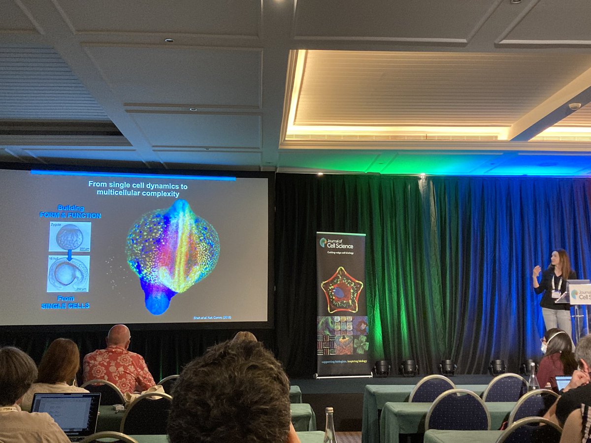 Mario Del Rosario tweet media