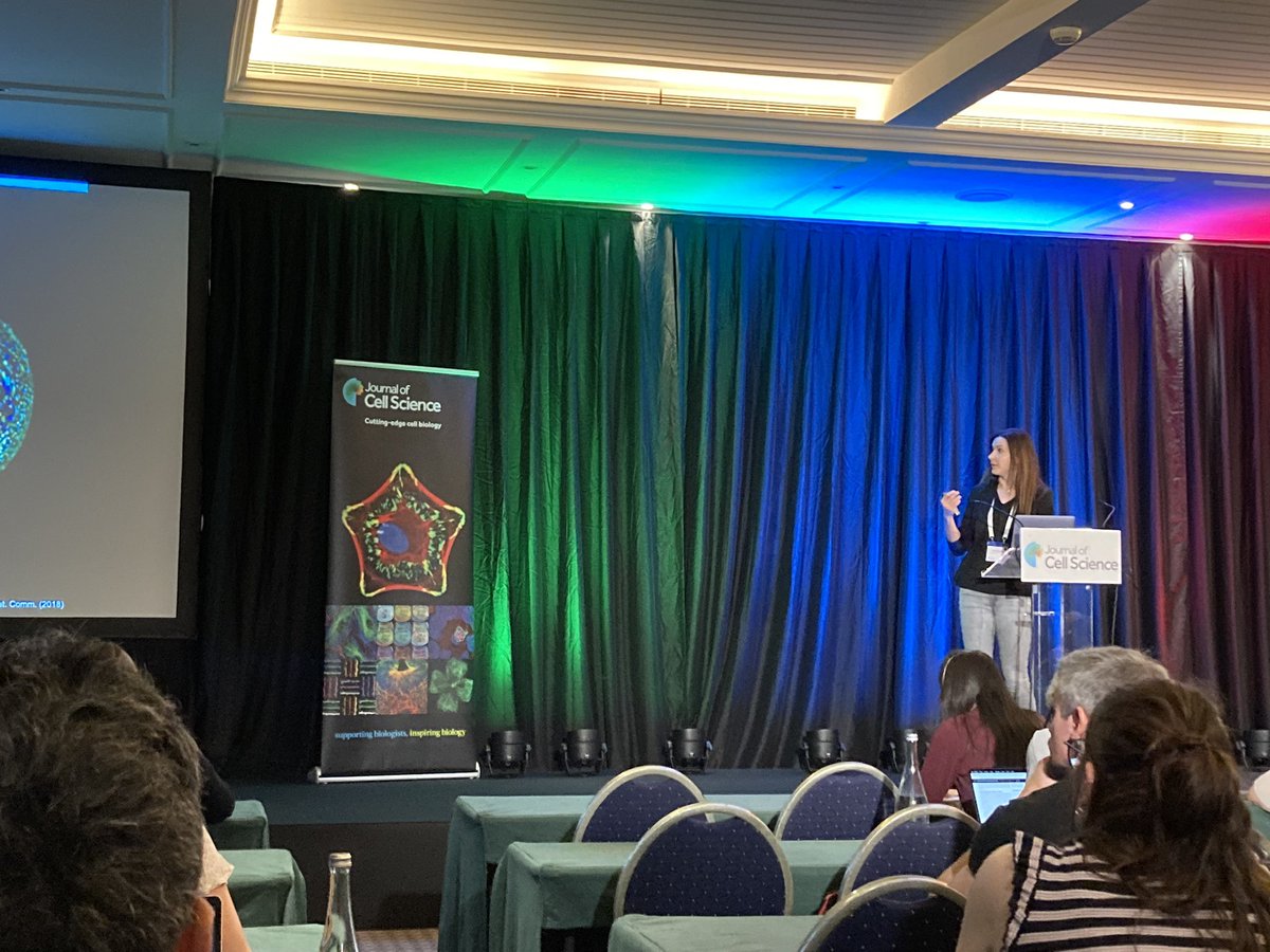 Mario Del Rosario tweet media