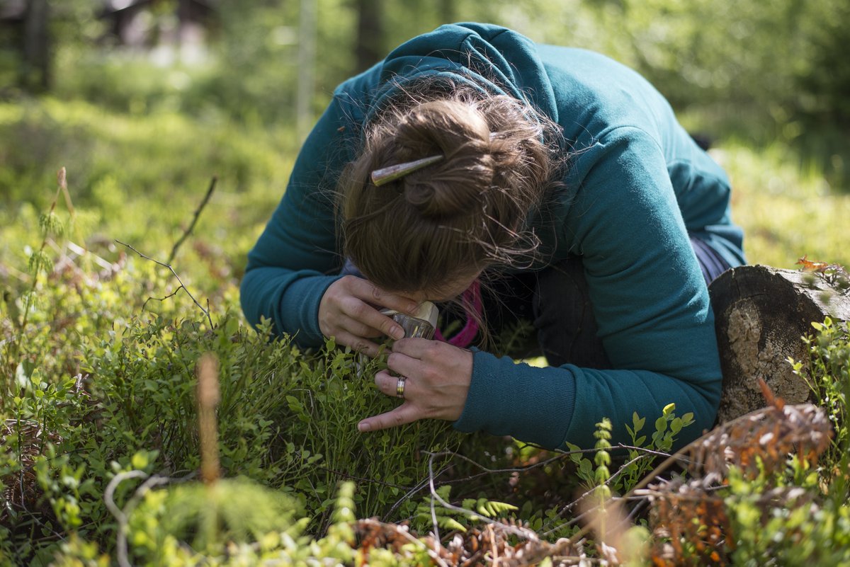 #UUO23 tarjoaa laajan kattauksen luonto ja ympäristöteemaisia työpajoja, keskustelutilaisuuksia, puheenvuoroja ja vaikka mitä!

lue tarkempi ohjelma verkkosivuilta: ulosutout.fi/fi/ohjelma2023/

📸: Vilma Issakainen/SMY

<a href="/UlosUtOut/">ULOS–UT–OUT</a>
