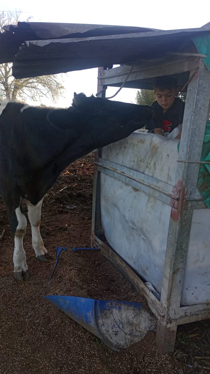 Soledad35981504's tweet photo. #alcolecontn @mati_bertolotti ombligo de semana. Benicio y Dominga vamos que beni no tiene clases saludos para basavilbaso https://t.co/Sn3S4Qr0gU