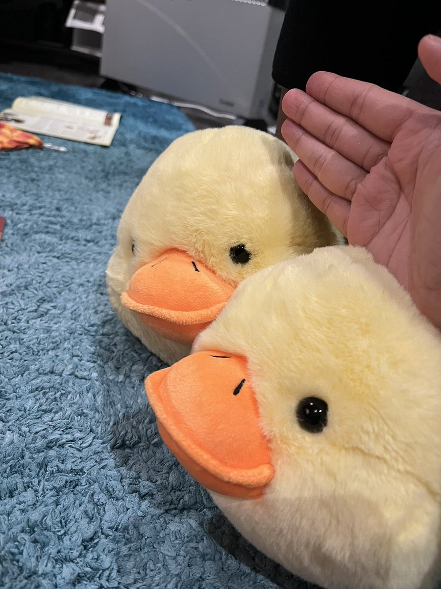 Playing ROOT with some salty ducks. Wholesome game night with salty people 😔