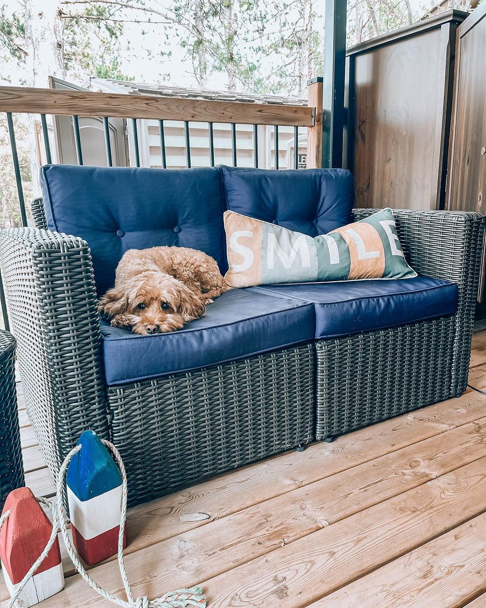 Get in a sunshine state of mind.

IG: @unclutteredhouse