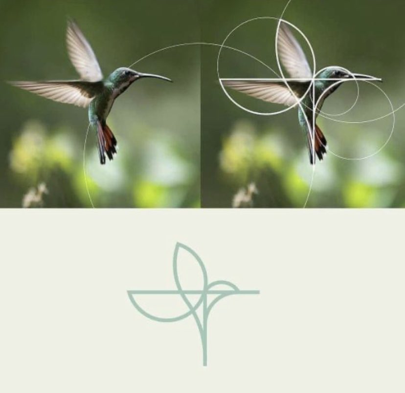 La naturaleza es perfecta diseñando.
#gaia #diseño #aviar #geometriasagrada