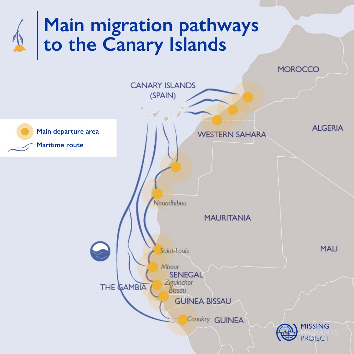 IOM Data tweet media