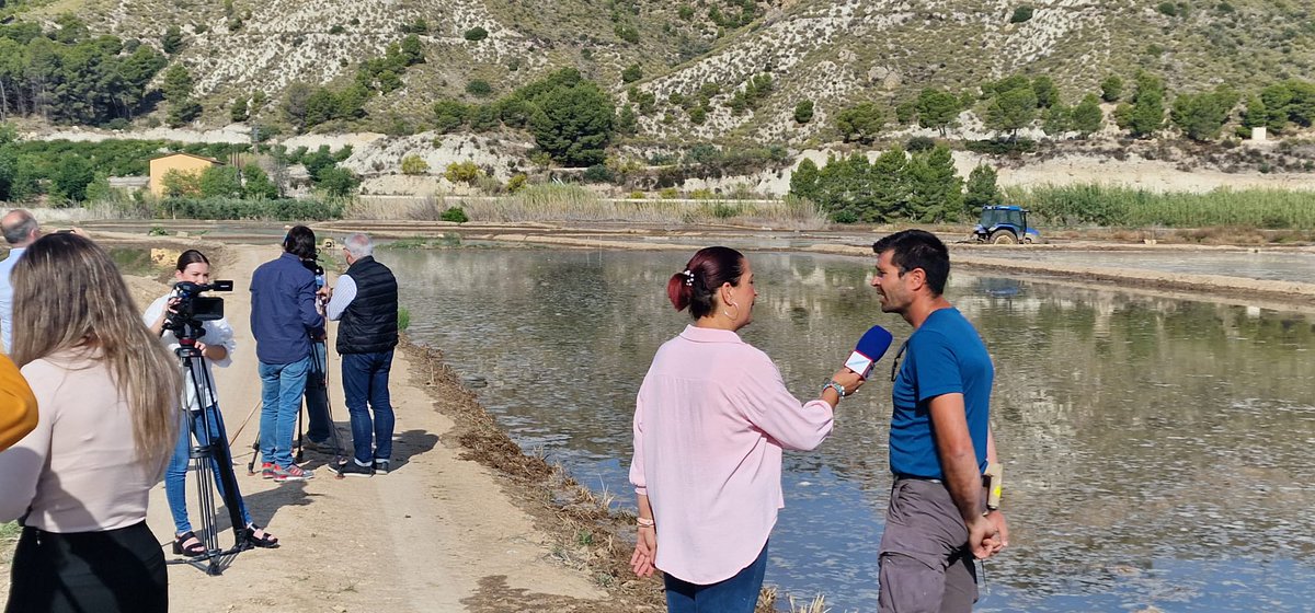 Las televisiones Locales, Regional y TVE recogen la siembra de la cosecha 2023 🌾

#ArrozDeCalasparra #CooperativaDelCampo #VirgenDeLaEsperanza #Rice