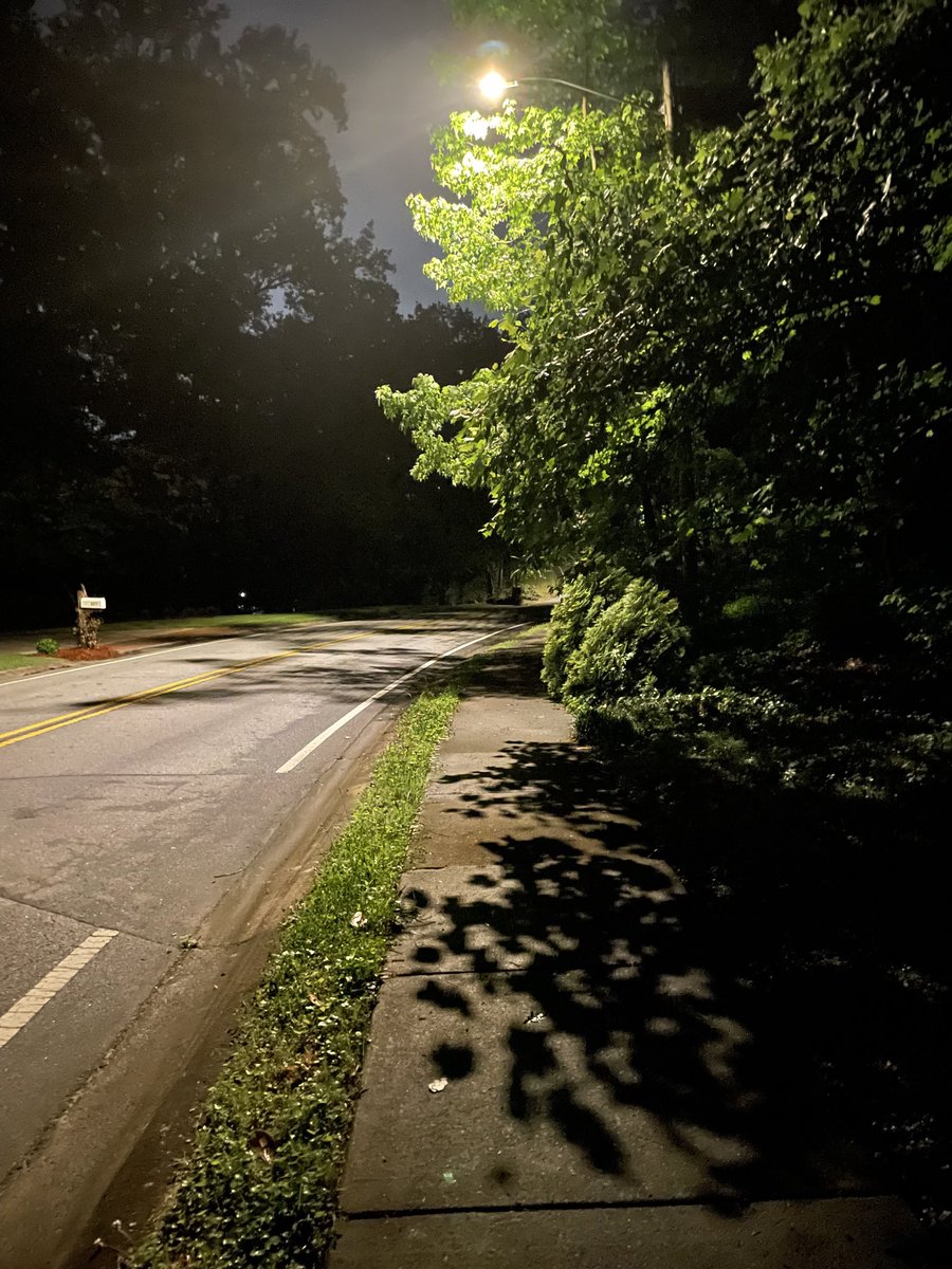 Early morning #fractal forms!