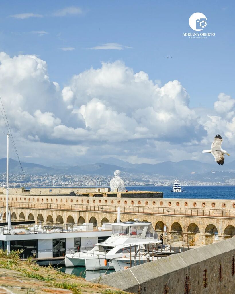 Adriana Oberto tweet media