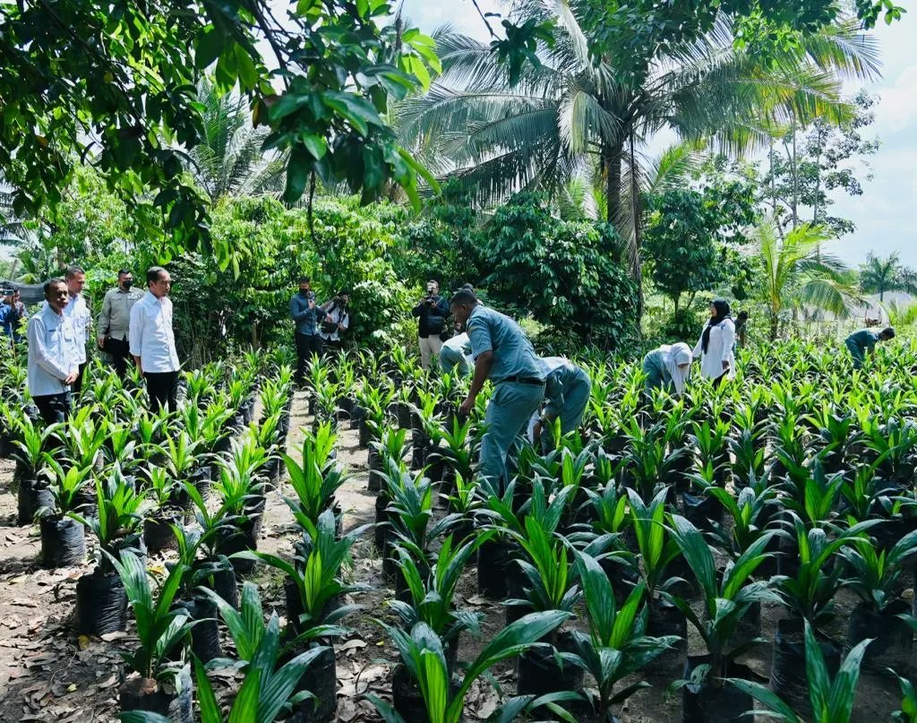 Berkunjung mendadak ke sebuah sekolah menengah kejuruan di Kab. Labuhanbatu Utara, Sumatra Utara. Saya ingin melihat kegiatan belajar mengajar dan praktik di sekolah itu, apa adanya. Nama sekolah ini SMK Pertanian Pembangunan Negeri 1 Kualuh Selatan.