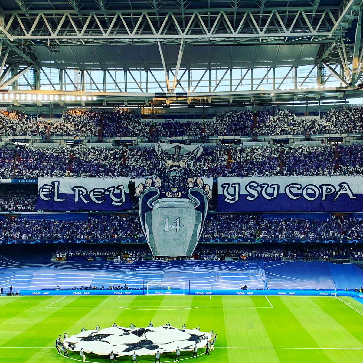 Chechu Lastras ✌ tweet media