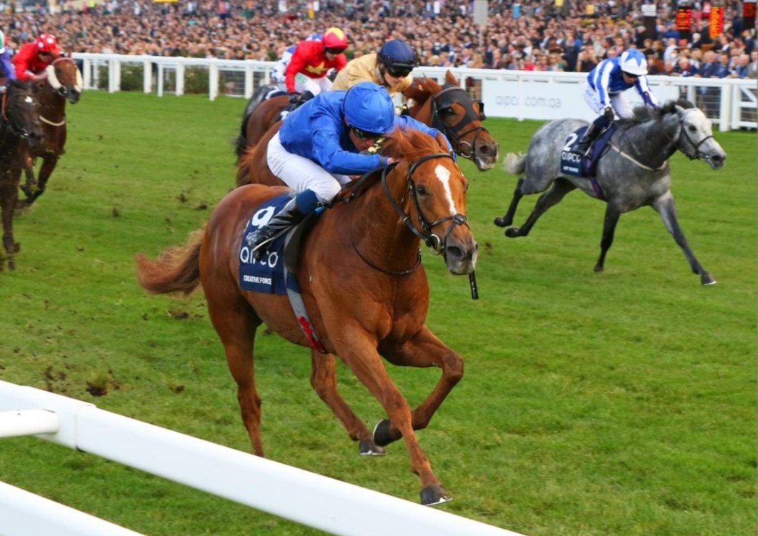 💷 If CREATIVE FORCE, INFINITE COSMOS &amp; VEGA SICILIA all Win at York today ( Three Favourites )

I'll give £1,000 CASH to one of you Lucky People!! 🥇 🇮🇪

To Enter: 👇

1️⃣ RT this Tweet
2️⃣ Follow <a href="/racingblogger/">Stephen R Power</a>

🚨 instagram.com/racingblogger

#York #ChampionsLeague #Horses 🏇