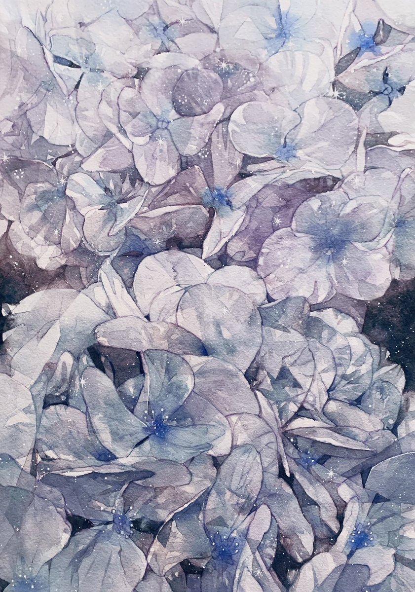 「#あなたの紫陽花見せてください」|綿飴のイラスト