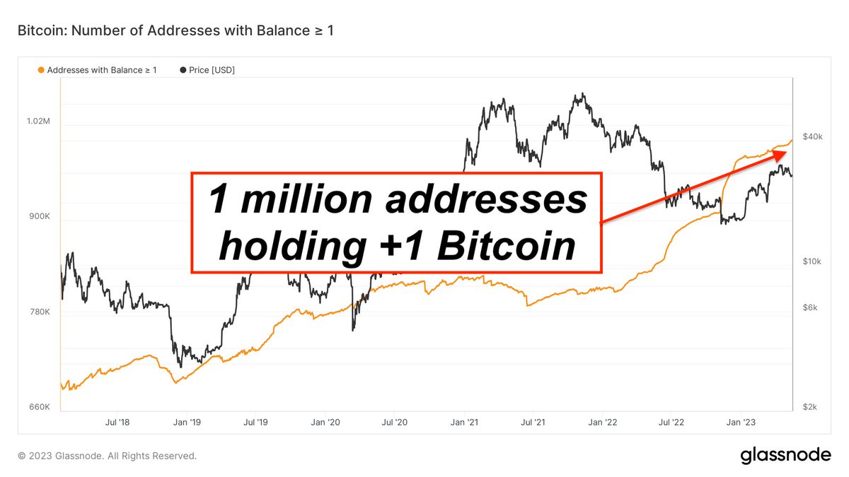 Bitcoin Archive tweet media