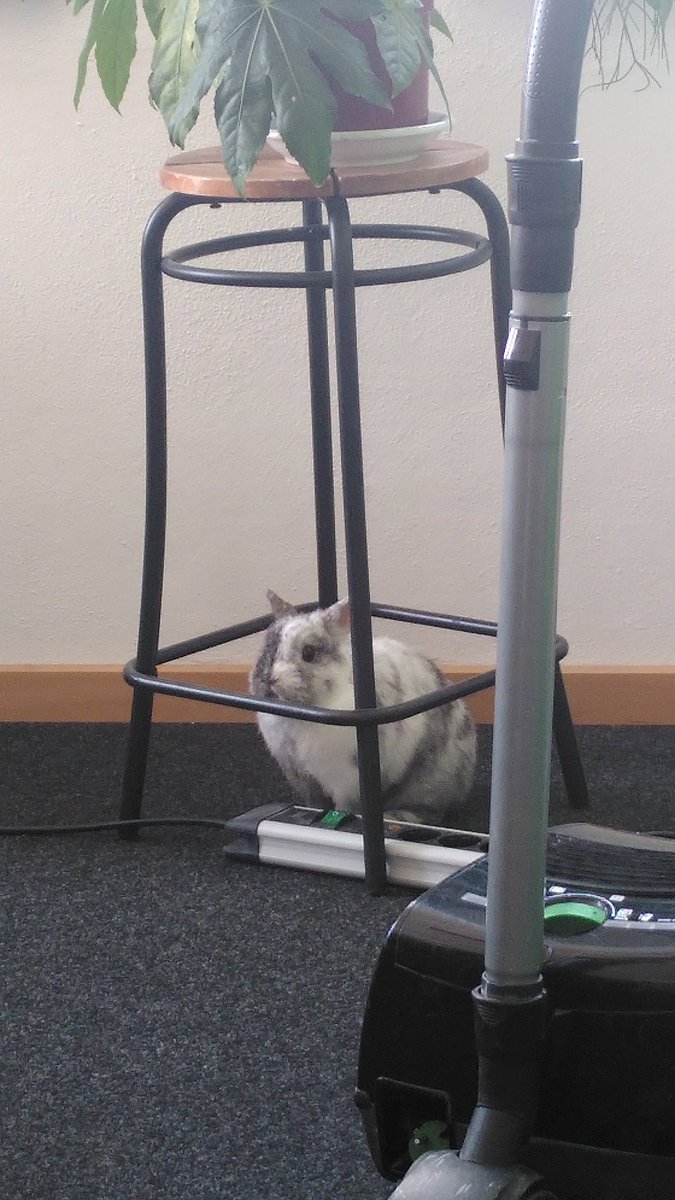 no one can see me in here
