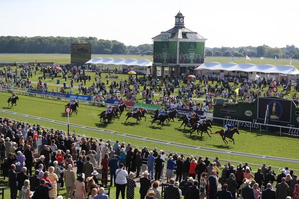 SFRacingTips's tweet photo. COMPETITION TIME!!! 🥇 

💸Chance to win £30 cash!!! 💸

Simply follow the instructions below🔽

-Make sure your following myself, Like and Retweet this tweet

-Answer this question correctly in the comments!!

What legendary horse won the 2018 Dante at York? https://t.co/mePXDL2GxS