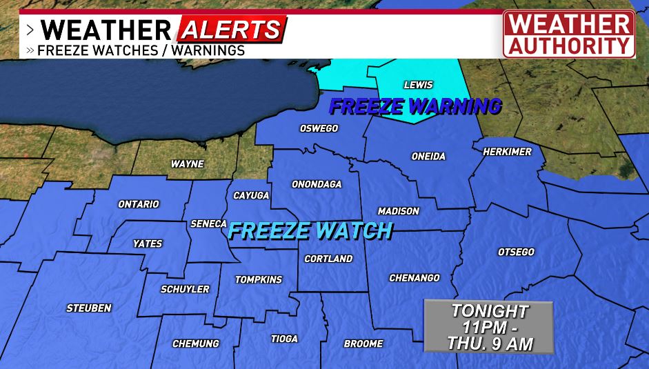 Thursday morning  temps should break freezing for a good chunk of CNY. Protect yo plants!