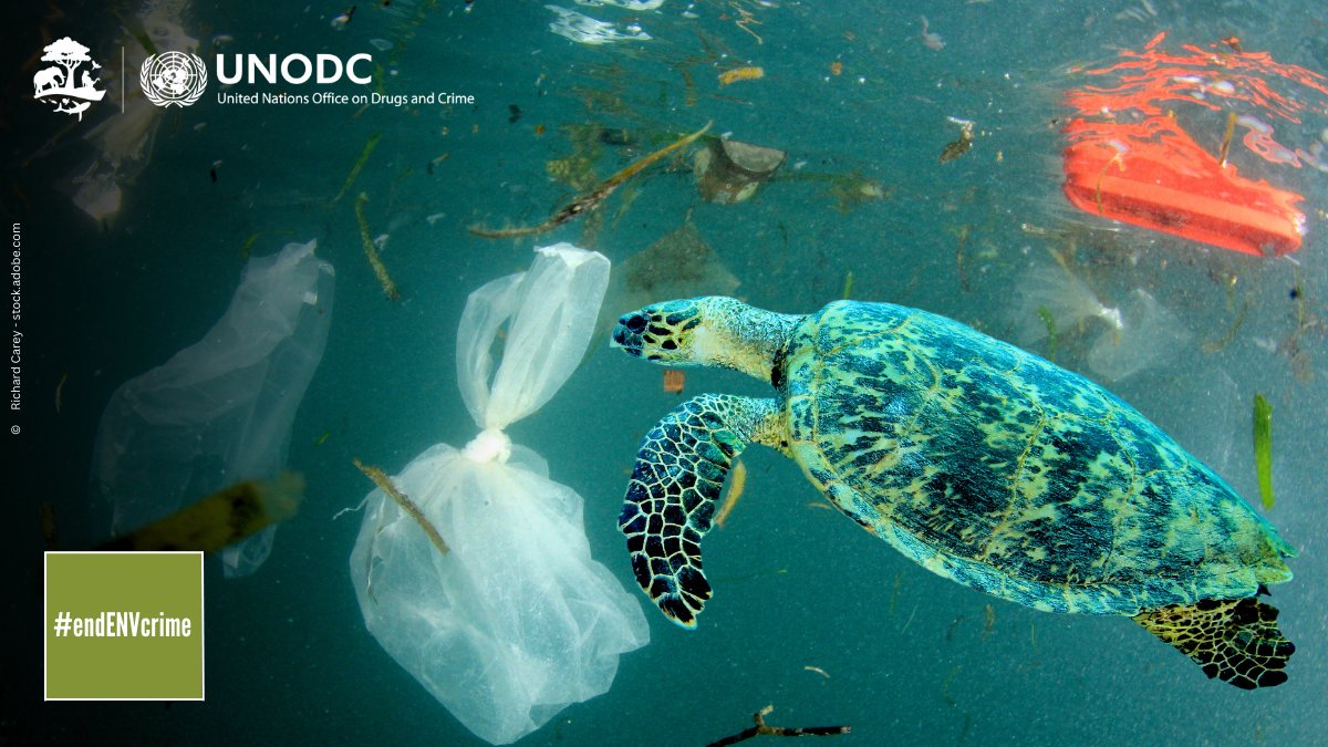 Crimes that affect the environment include acts that cause environmental pollution or degradation of air, water & soil.

To #endENVcrime @UNODC_MCP supports the reform of marine pollution and waste disposal legislation and training on its implementation.