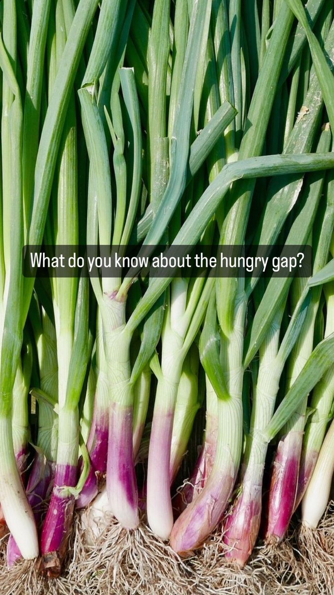 Sutton Community Farm tweet media