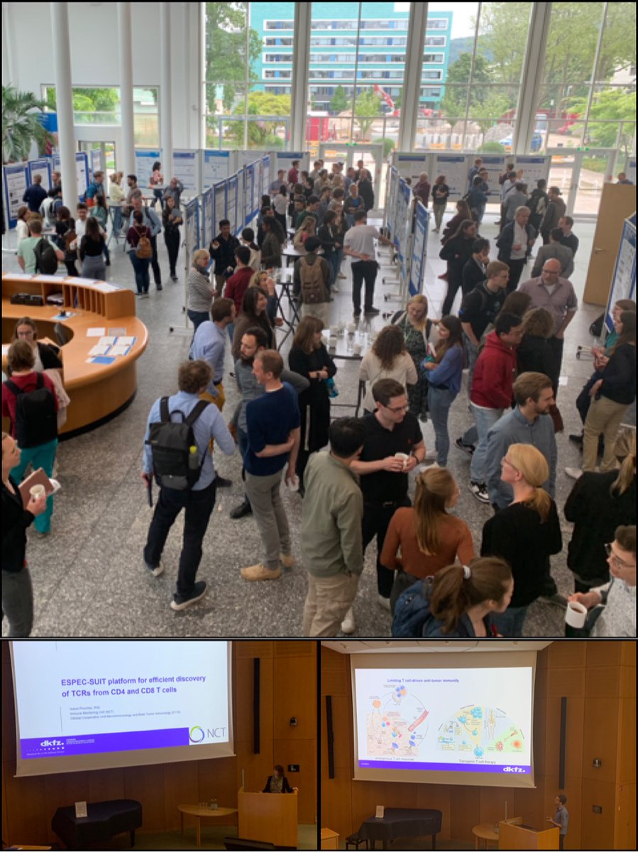 Great symposium on Immunology, Infection, Inflammation & Cancer at DKFZ today featuring talks by our postdoc Michael Kilian and team leader Isabel Poschke @DKFZImmunology @DKFZ